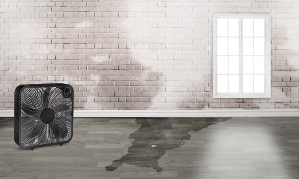 Best Local water damage restoration  in Vale, OR