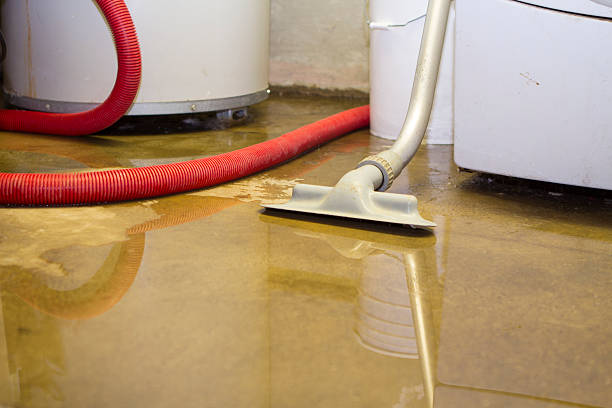 Best Basement water damage restoration  in Vale, OR